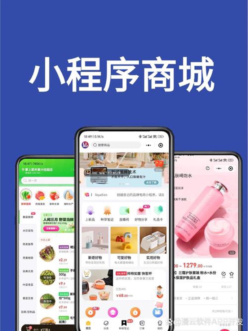 网站开发公司：抓住信息化时代的翅膀